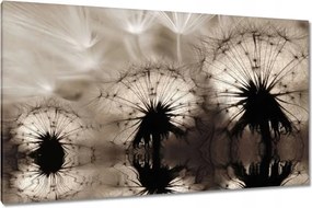 Vászonkép 120x70 Pitypangok szépia papírsárkányok