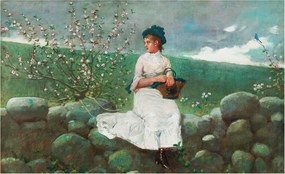 Fotótapéta Flizelin Hálószoba és Nappali Tapéta Virágos nyugalom 416x254