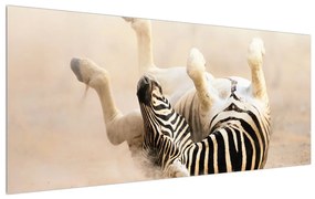 Fekvő zebra képe (120x50 cm)