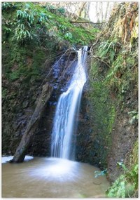 Poszterek 70x100 Szép zuhatag