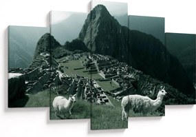Kép - Lámák a perui Machu Picchunál (150x105 cm)