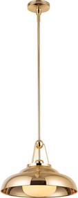 Quintiesse Palmetto QN-PALMETTO-P-M-PB Függőlámpa 1x60W/E27 IP20