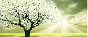Fa képe a réten (120x50 cm)