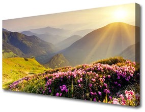 Vászonkép nyomtatás Mountain Meadow Landscape 140x70 cm
