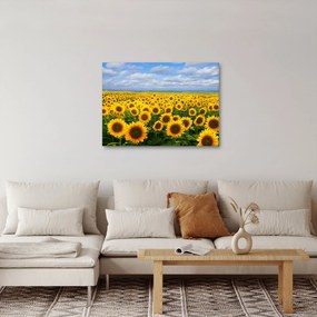 A napraforgó mező képe (70x50 cm)