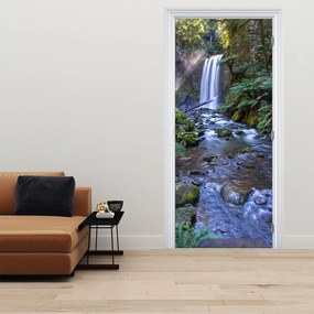 Fotótapéta ajtóra - Ausztrál esőerdő (95x205cm)