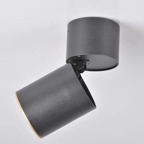 Spotlámpa NIXA 1xGU10/10W/230V fekete/arany