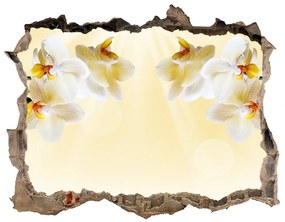 3d-s lyuk vizuális effektusok matrica Orchidea nd-k-72852358