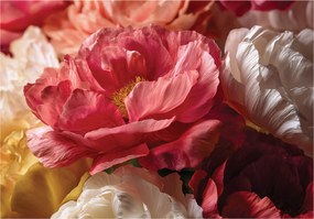 Fotótapéta Virágok Bazsarózsa Rózsák Hálószoba Nappali Tapéta Flizelina 200x140