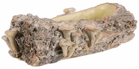 Beton burkolat - virágládika, fa gombákkal, 36 x18 x 13 cm, barna