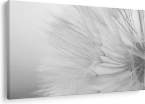 Kép - Pitypang (90x60 cm)
