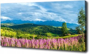 Vászonkép Levendula a hegyekben 120x60 cm