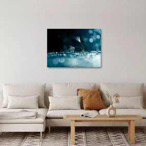 Kép - Makró (70x50 cm)