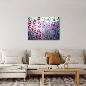 Kép - Levendula (70x50 cm)