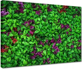 Vászonkép 40x30 Kerti azálea