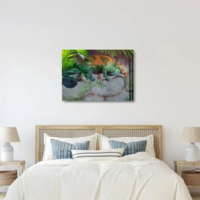 Kép - kaméleon (üvegen) (70x50 cm)