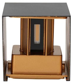 Kültéri fali lámpa fekete arannyal, LED-del, 2-lámpás, IP54 - Edwin