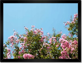 Poszterek keretben 40x30 Virágok