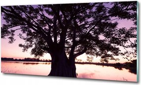 Fotó üvegkép Pitypang magok 100x70