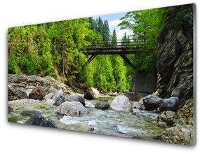 Akrilkép Fa híd az erdőben 100x50 cm