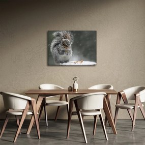 Kép - Mókus télen (70x50 cm)