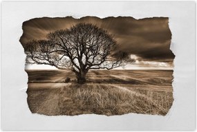Poszterek 120x80 Tájkép varázslattal