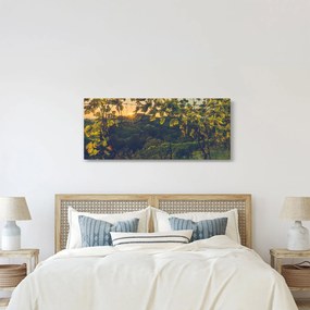 Kép - szőlőültetvény (120x50 cm)