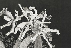 Dekoratív Fotótapéta Falikép Orchidea illusztráció 152x104 Ragasztó