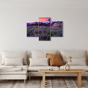 Kép - Vulkán és a virágok (90x60 cm)