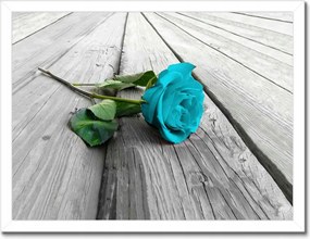 Poszterek keretben 40x30 Kék rózsa a deszkákon