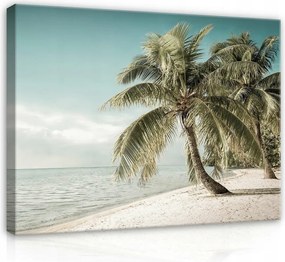 Vászonkép 100x75 Trópusok tengerpart pálmafák óceán tenger ég homok nyár nyugalom