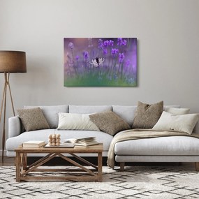 Kép - Pillangó a levendulán (90x60 cm)
