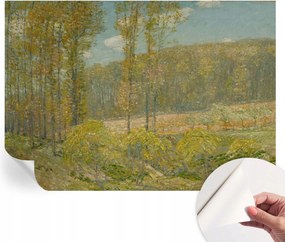 Öntapadós tapéta Divatos 3D fali ragasztó Erdei tájkép 208x146 cm