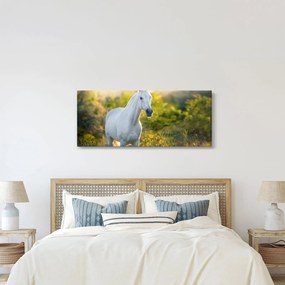 Egy fehér ló képe a réten (120x50 cm)