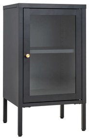 Dalby vitrin, 1 ajtó, acél, fekete 38x35x70 cm