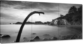 Vászonkép 180x90 Tengerpart éles sziklákkal