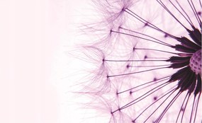 Fotótapéta Pitypang pitypang pasztell álom könnyedség 208x146 +ragasztó