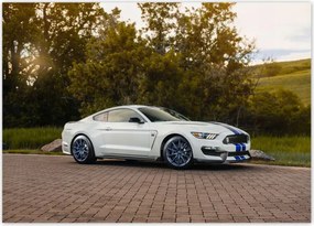 Poszterek 70x50 Ford Mustang Usa autó