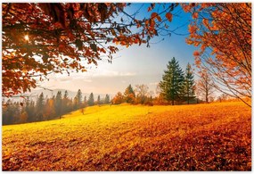 Poszterek 185x125 Őszi táj hegyek