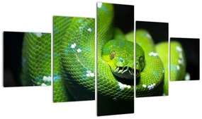 Az állatok képe - kígyó (125x70cm)