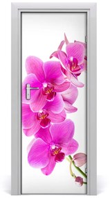 Ajtó tapéta rózsaszín orchidea 75x205 cm