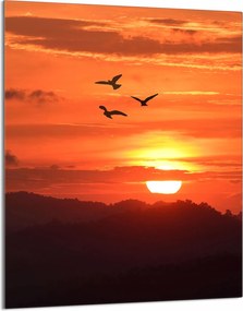 Üveg Vágódeszka 40x52 Nap a Konyhába