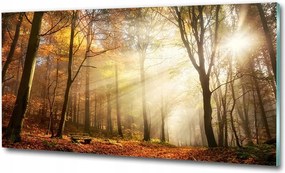 Fotó üveg kép Vízesés a dzsungelben 125x50