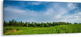 Rét képe (120x50 cm)