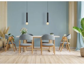 LED Csillár zsinóron TUBA 1xGU10/20W/230V fekete