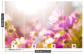 Fotótapéta százszorszép virágok 104x70 cm