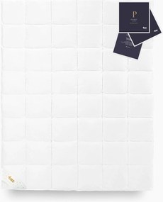 Egész évben használható paplan Amz Biel Premium Gold 200x220