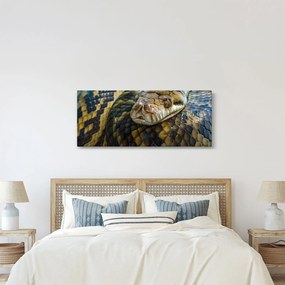 Kép - Piton (120x50 cm)