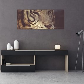 Tigris képe (120x50 cm)