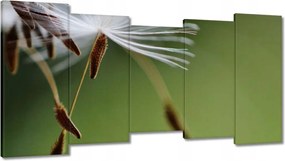 Vászonkép 150x80 Pitypang Virág Virágok